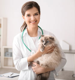 Medical Professional holding a cat
