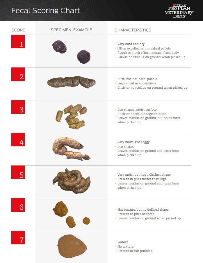 Pro Plan Fecal Score Chart