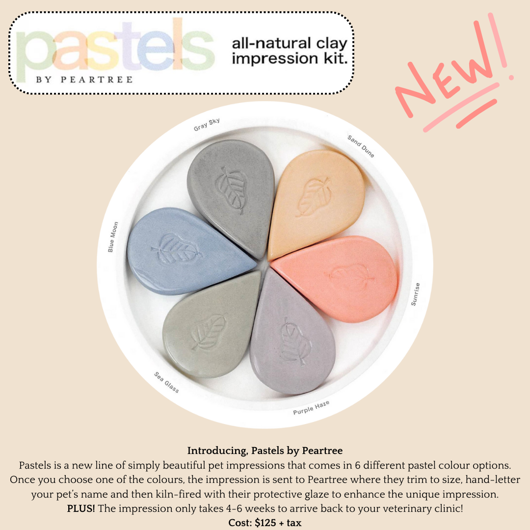 pastels