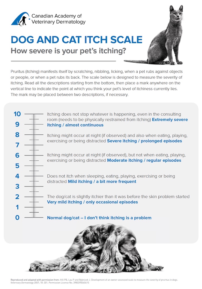 Itch Scale